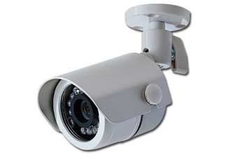 Salvador Medeiros Cocolichio - Foto 1