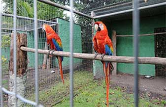 Domingos Ferreira Veterinaria - Foto 1
