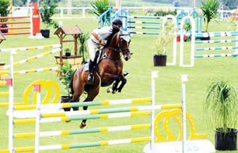 Haras Manotazo - Foto 1