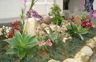 Nunes Jardinagem - Foto 1