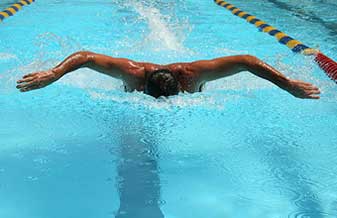 Tatiane de Figueiredo Serres - Foto 1