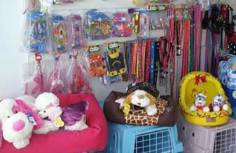 Cão Q Late-Pet Shop - Foto 1