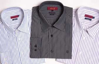 E Grafolin & Cia - Foto 1