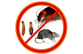 Controle de Pragas Catarinense - Foto 1