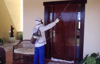 OTM Desinfestações - Foto 1