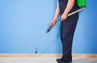 Roberto Rodrigues Nunes - Foto 1