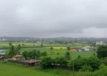 tempo úmido
