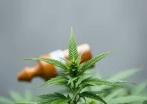 receita médica estrangeira