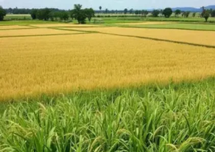 Últimas Notícias de Uruguaiana