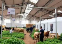 inscrições para exposição agropecuária de alegrete