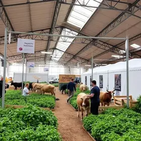 inscrições para exposição agropecuária de alegrete