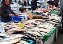 vendas de peixe para a sexta-feira santa