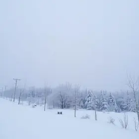 frio intenso na região Centro-Oeste