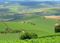 Fronteira Oeste do RS