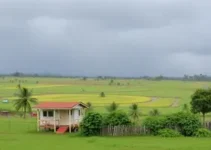 El Niño