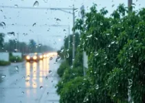 chuva causa estragos na região Central